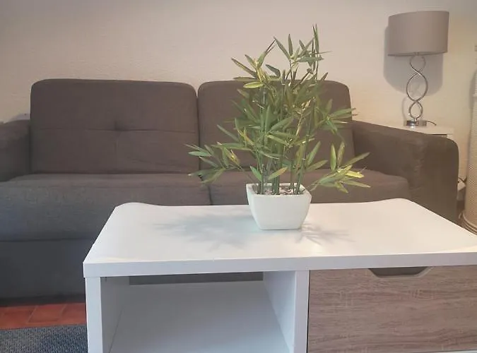 Apartment Climatise Centre Port Piscine Agde